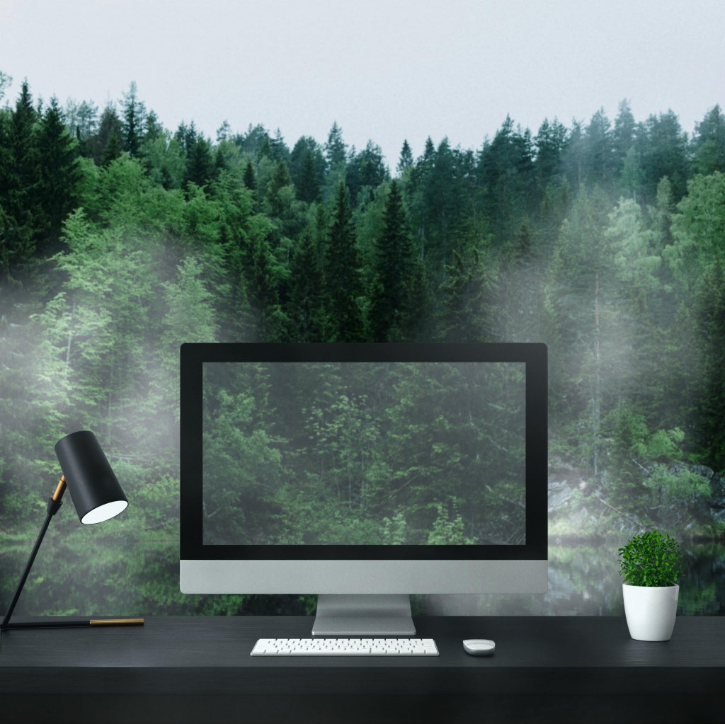 экран ноутбука на фоне леса